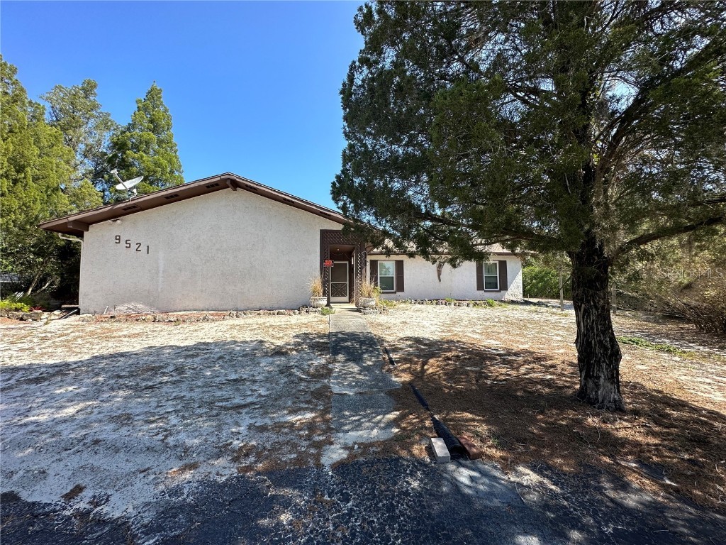 9521 Delray Drive New Port Richey FL 34654 U8198827 image1