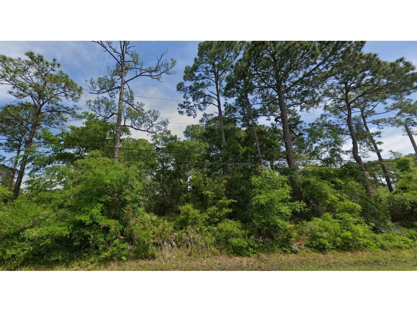 95232 Nassau River Road Fernandina Beach FL 32034 O6254093 image1