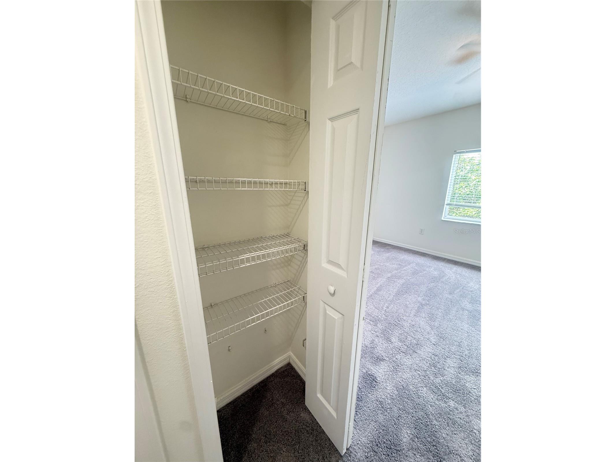 9524 Newdale Way #101 Riverview FL 33578 TB8495001 image14