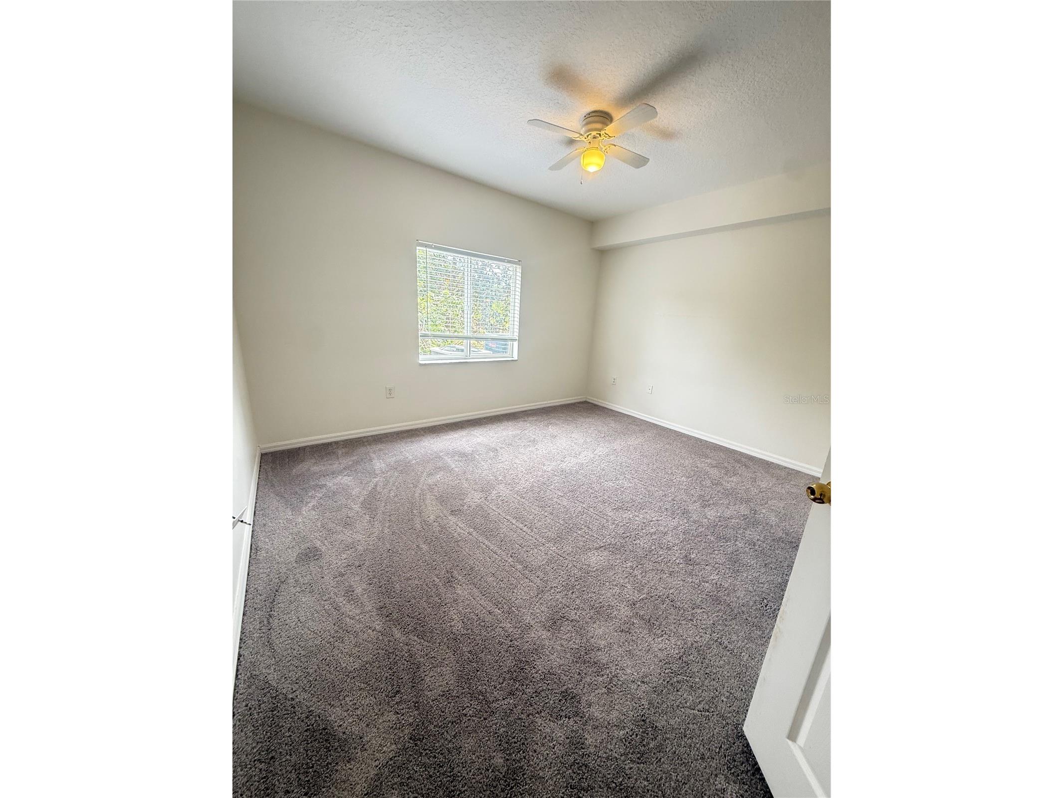 9524 Newdale Way #101 Riverview FL 33578 TB8495001 image18