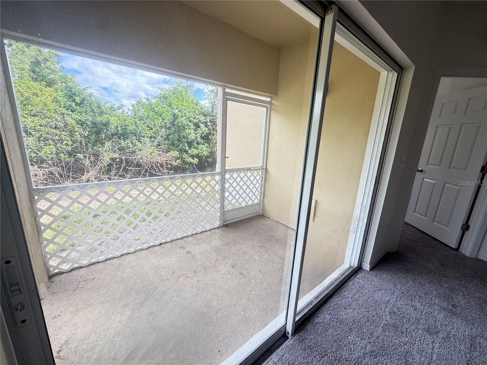 9524 Newdale Way #101 Riverview FL 33578 TB8495001 image24