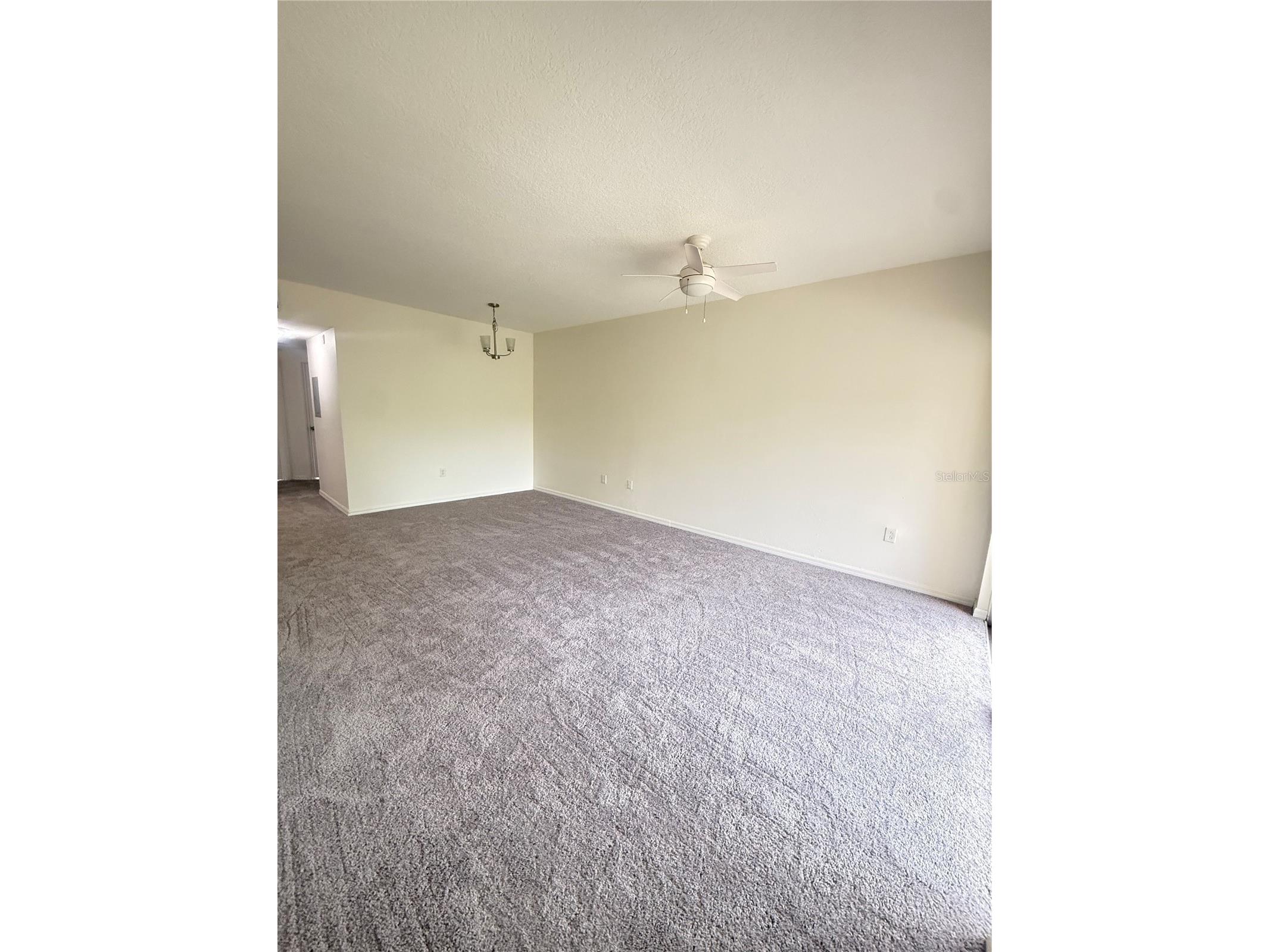 9524 Newdale Way #101 Riverview FL 33578 TB8495001 image4