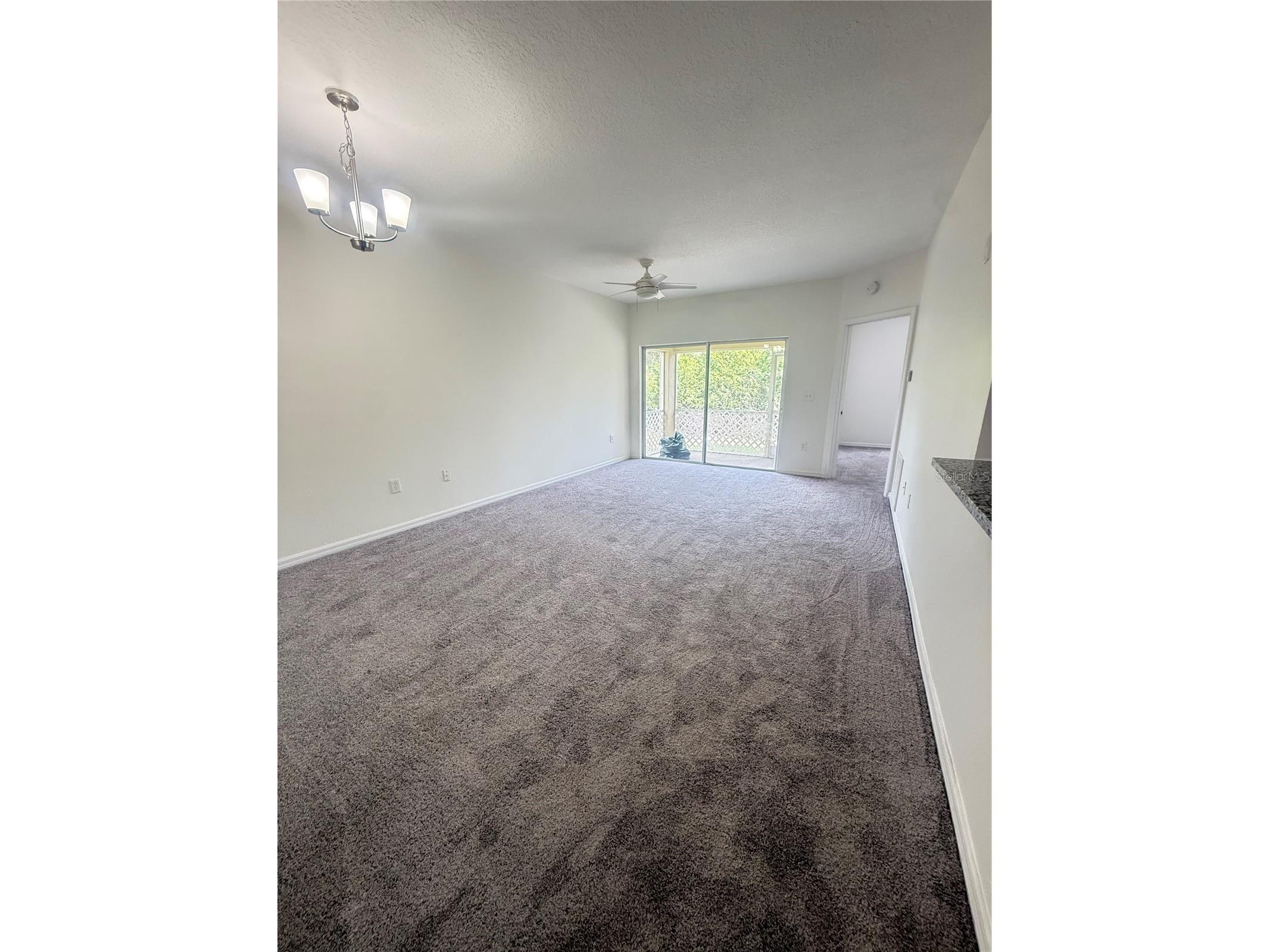 9524 Newdale Way #101 Riverview FL 33578 TB8495001 image5