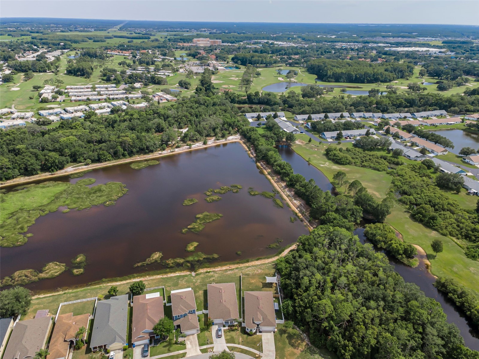 9524 Patrician Drive New Port Richey FL 34655 - ANCLOTE RIVER TB8518642 image4