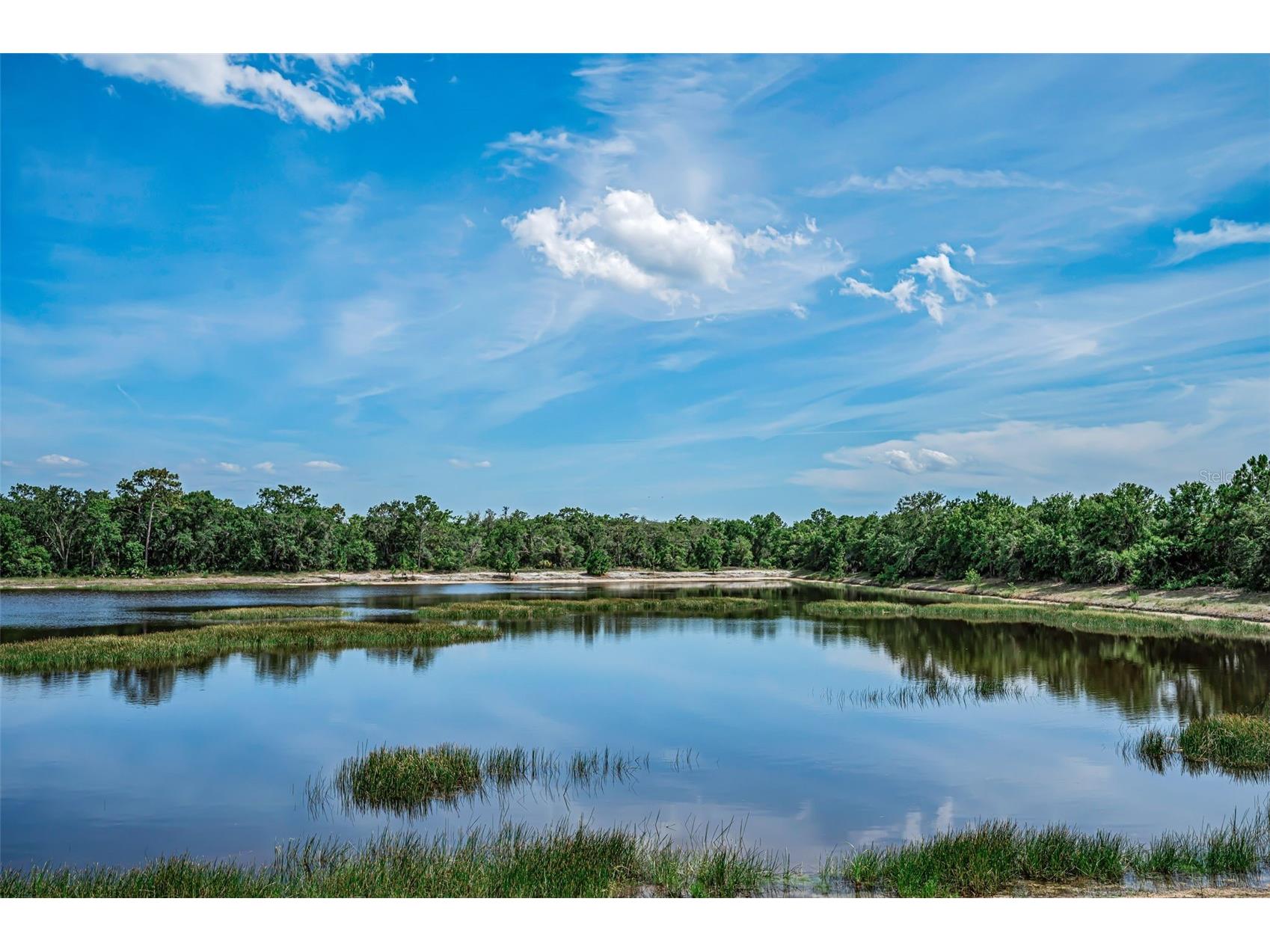 9524 Patrician Drive New Port Richey FL 34655 - ANCLOTE RIVER TB8518642 image40