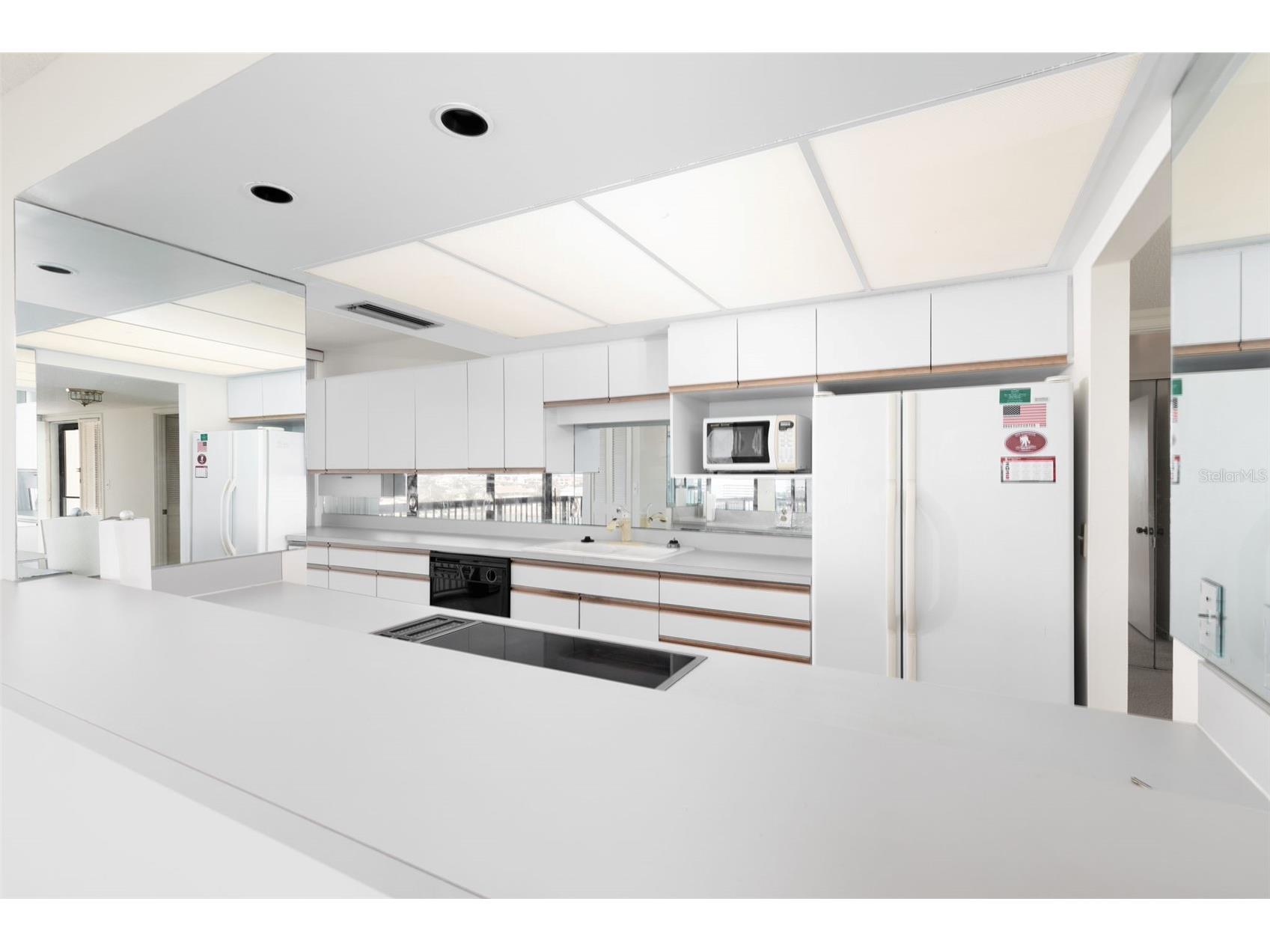 9525 Blind Pass Road #508 Saint Pete Beach FL 33706 TB8461567 image12