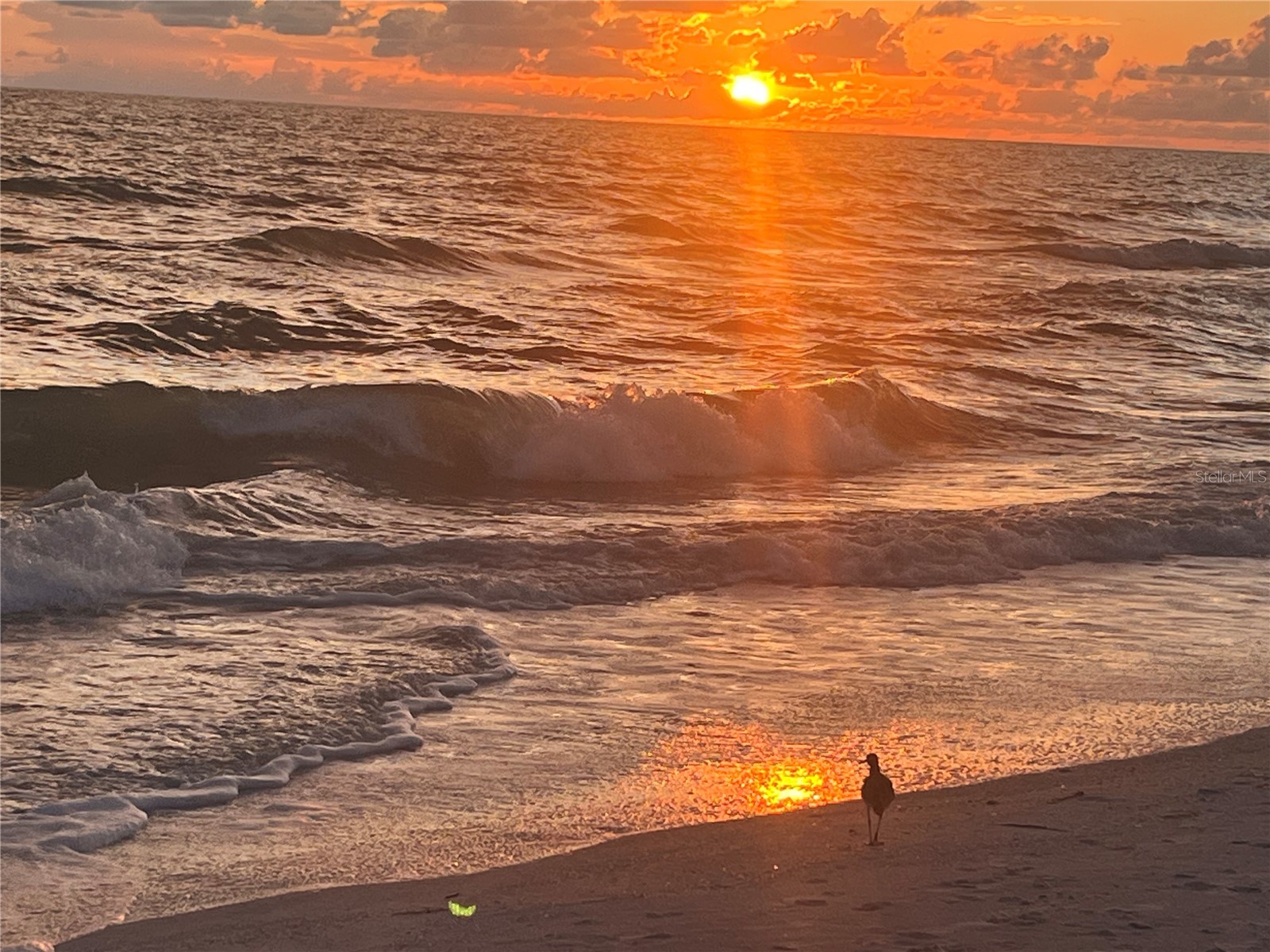 9525 Blind Pass Road #508 Saint Pete Beach FL 33706 TB8461567 image27