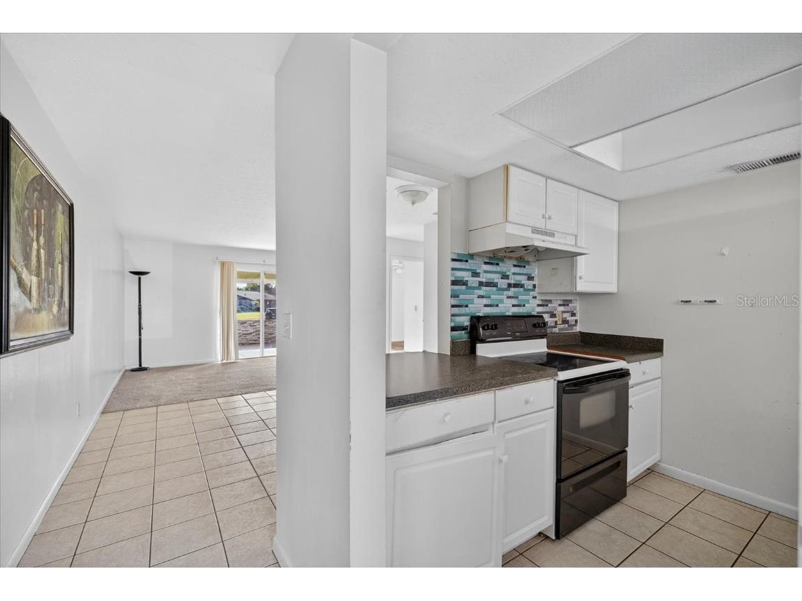 9525 Fieldview Circle Thonotosassa FL 33592 W7879883 image3