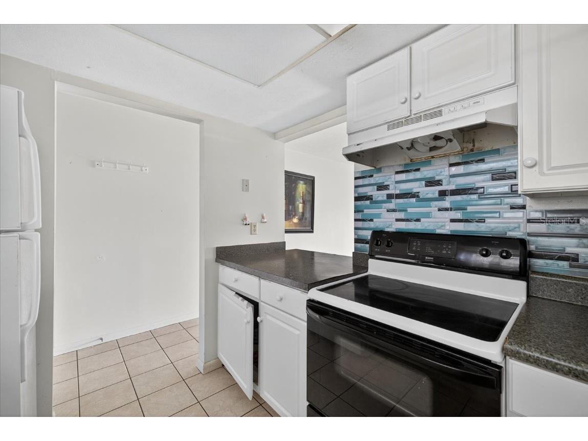 9525 Fieldview Circle Thonotosassa FL 33592 W7879883 image6