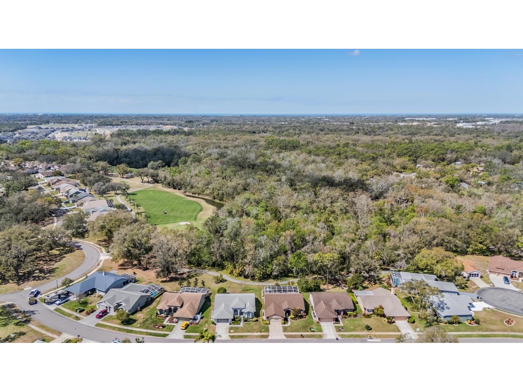 9525 Springmeadow Drive New Port Richey FL 34655 W7883440 image2