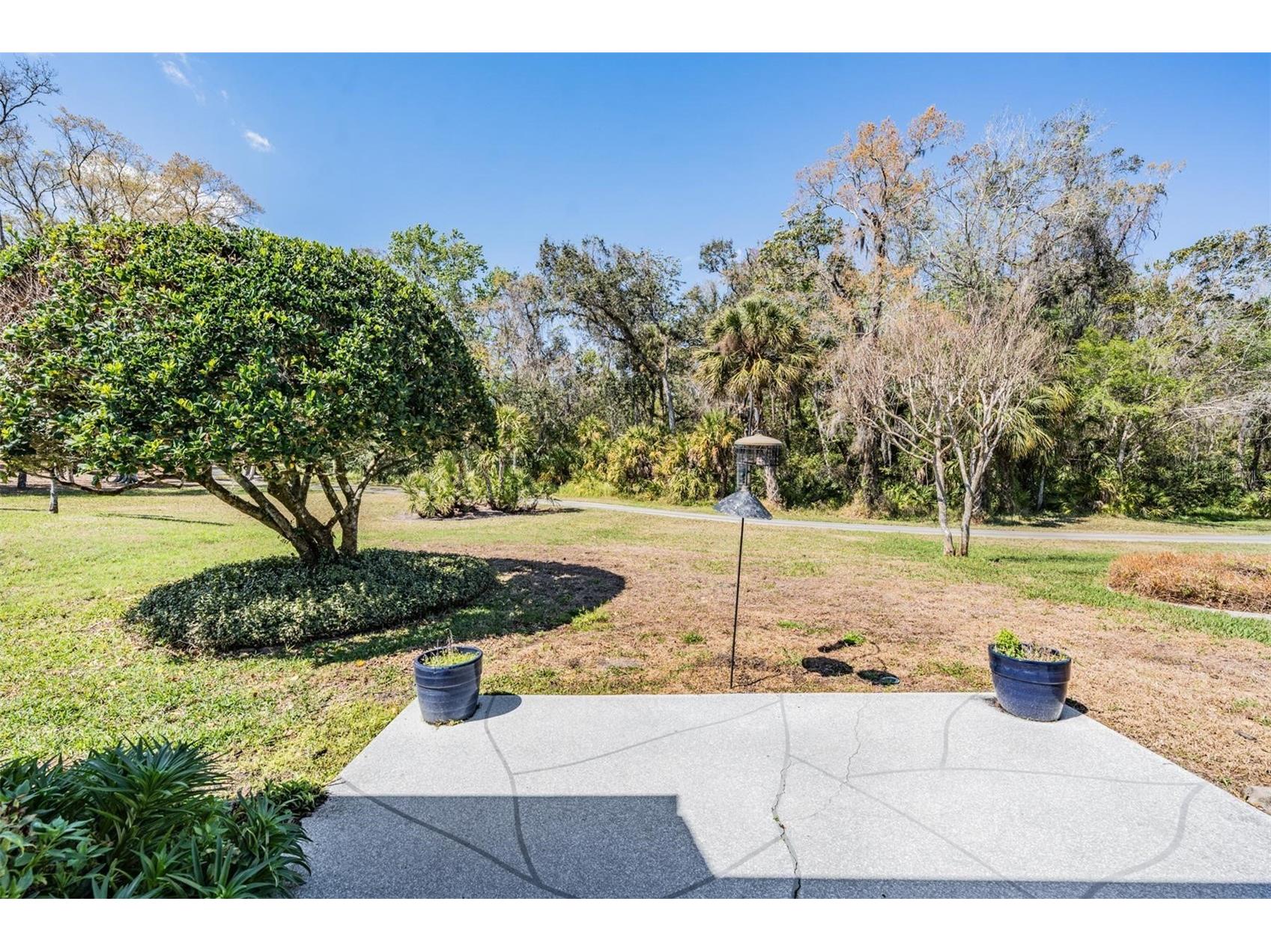9525 Springmeadow Drive New Port Richey FL 34655 W7883440 image26