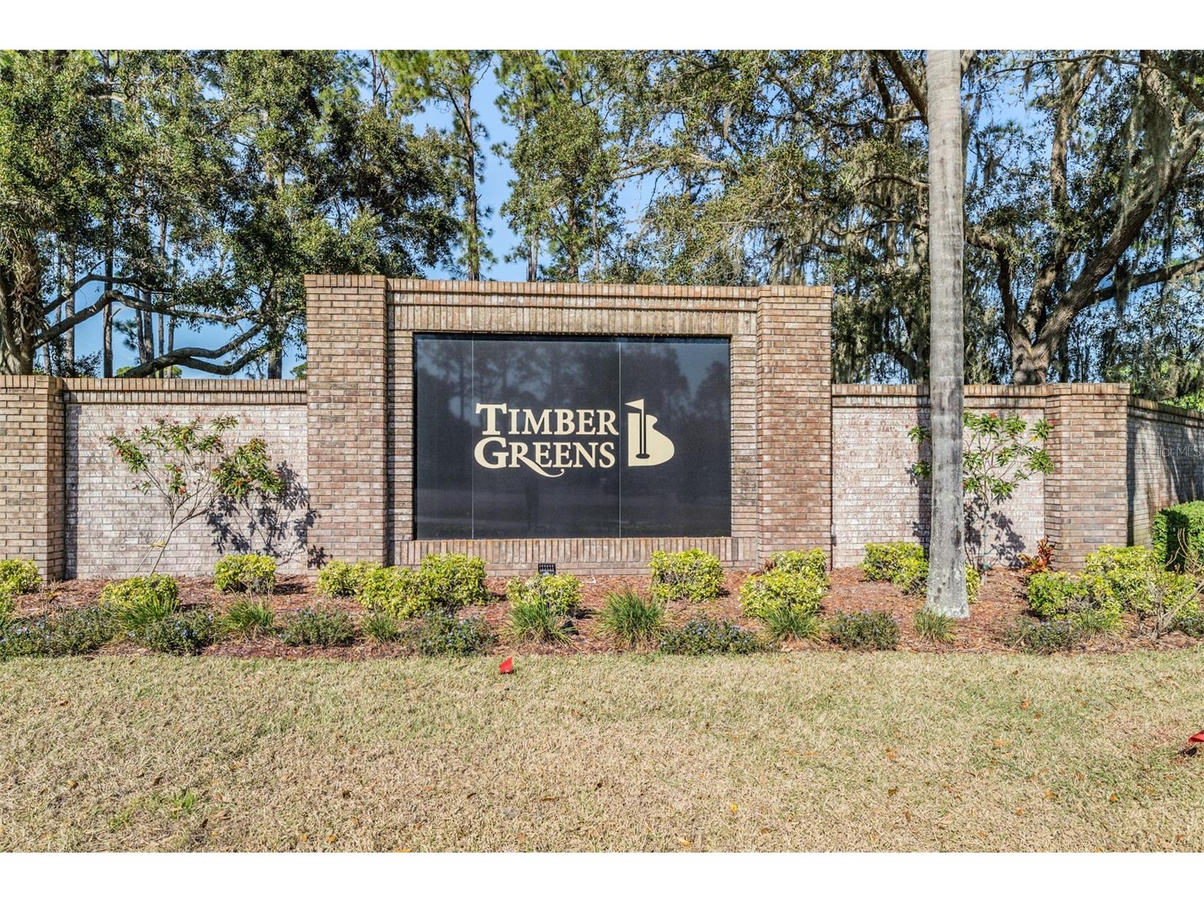 9525 Springmeadow Drive New Port Richey FL 34655 W7883440 image32