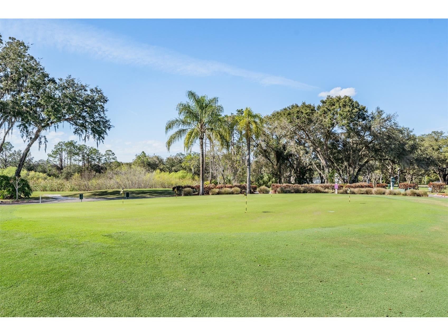 9525 Springmeadow Drive New Port Richey FL 34655 W7883440 image45