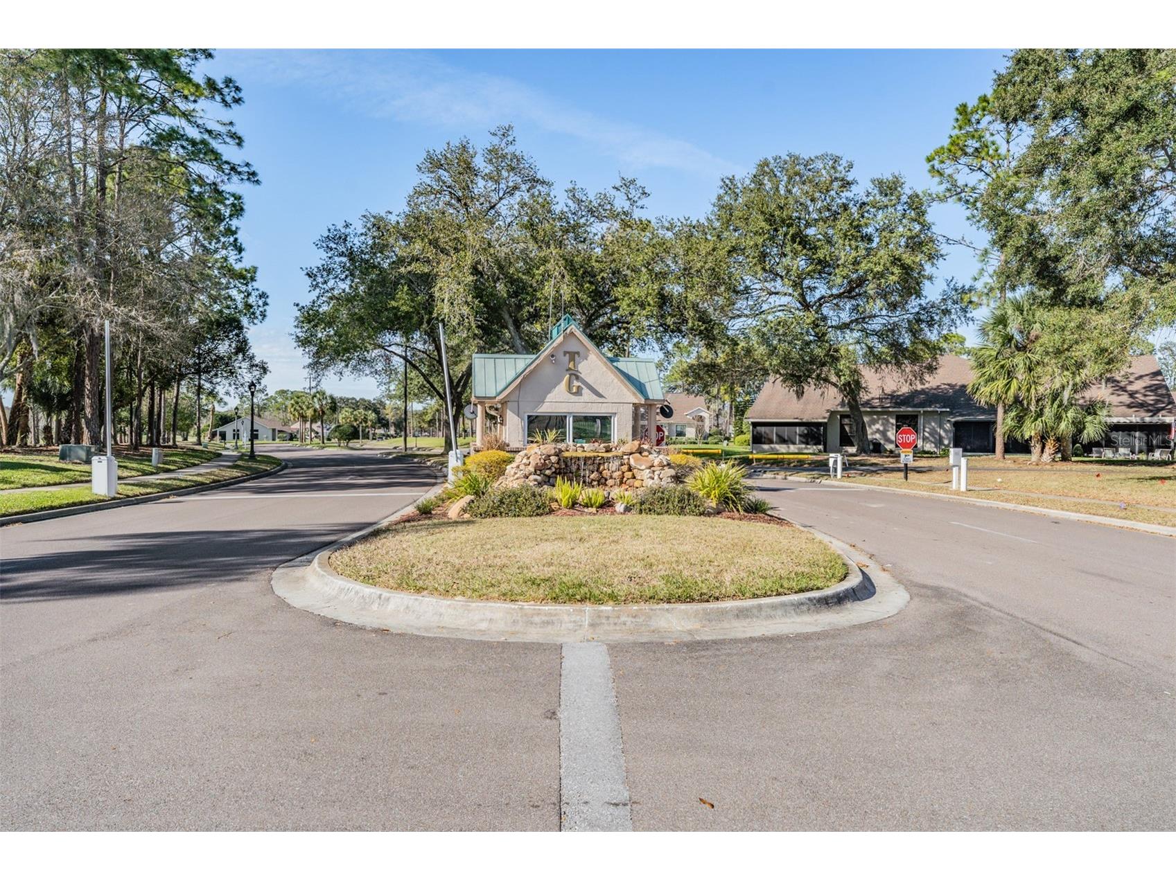 9525 Springmeadow Drive New Port Richey FL 34655 W7883440 image46