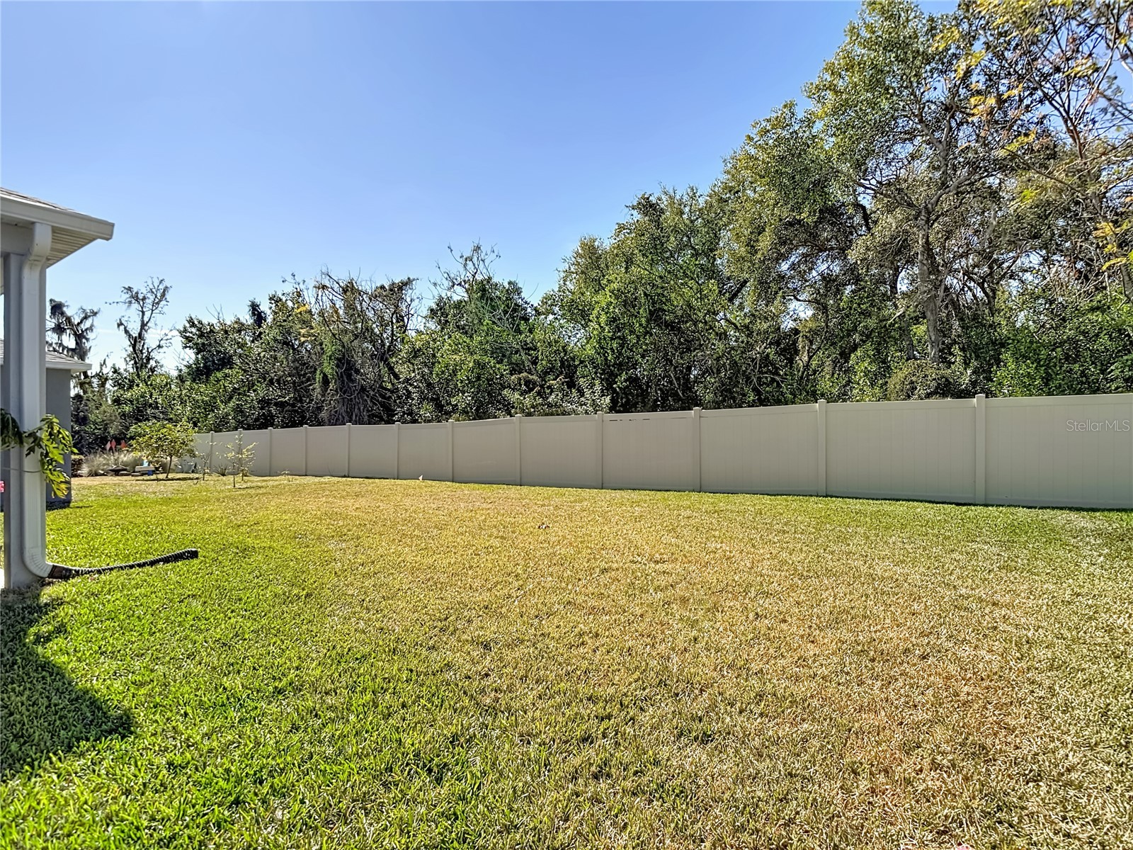 9526 Clarkwild Place Seffner FL 33584 TB8472037 image42