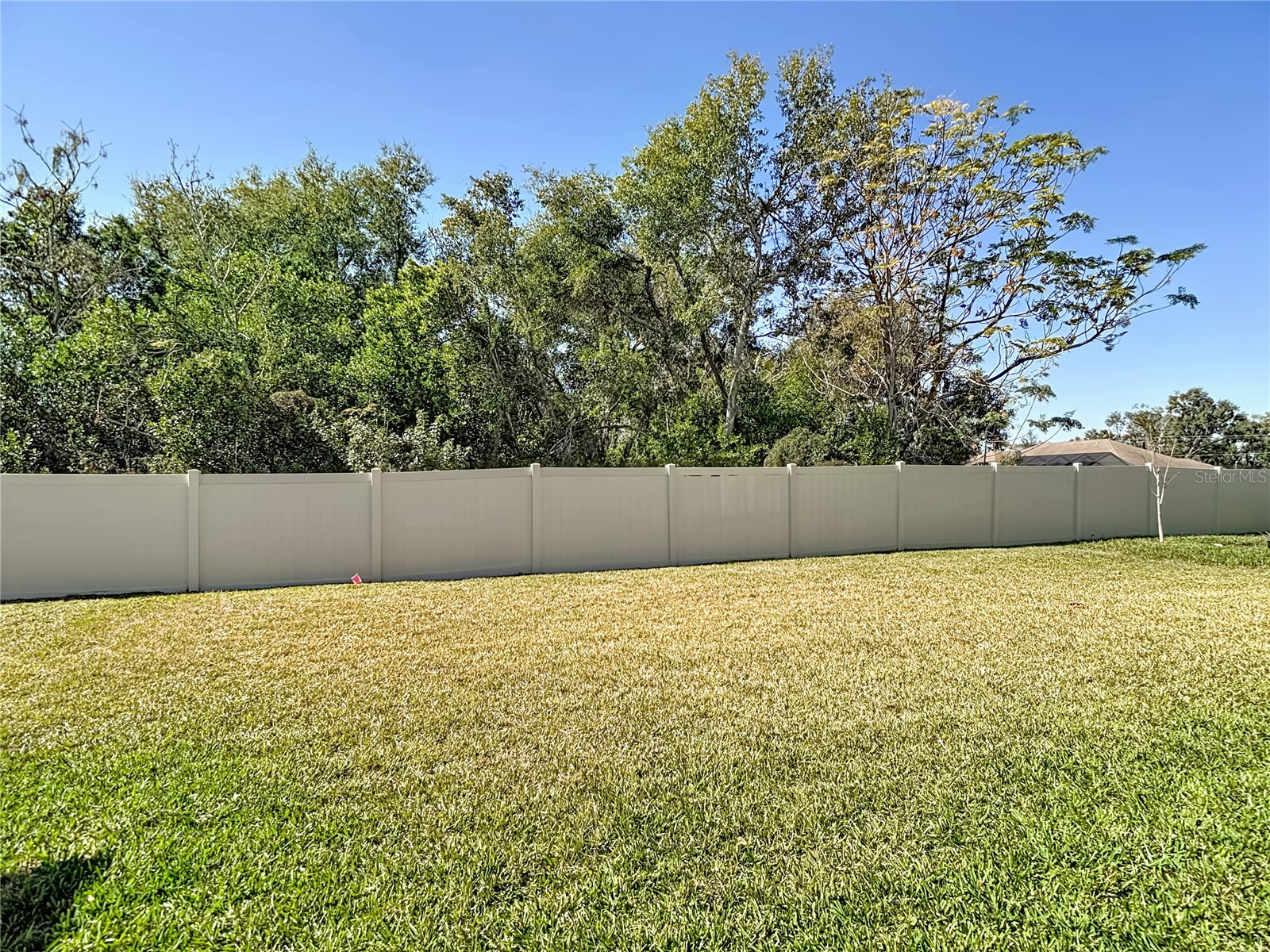 9526 Clarkwild Place Seffner FL 33584 TB8472037 image43