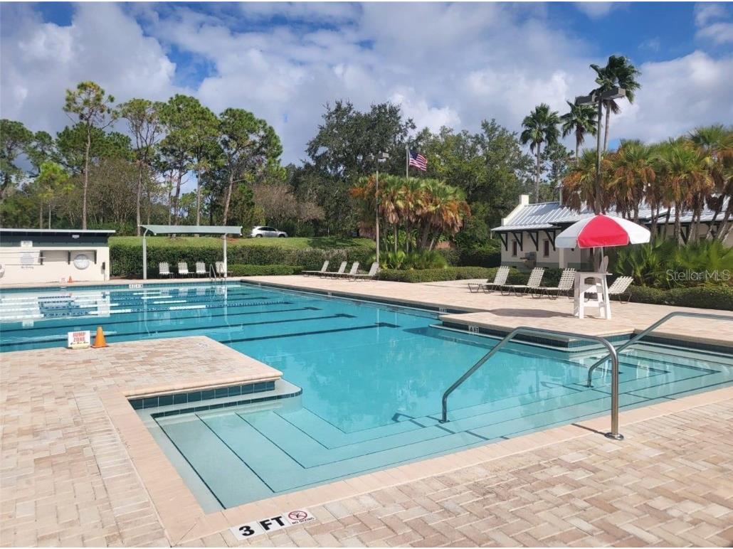 9526 W Park Village Drive Tampa FL 33626 L4957730 image16