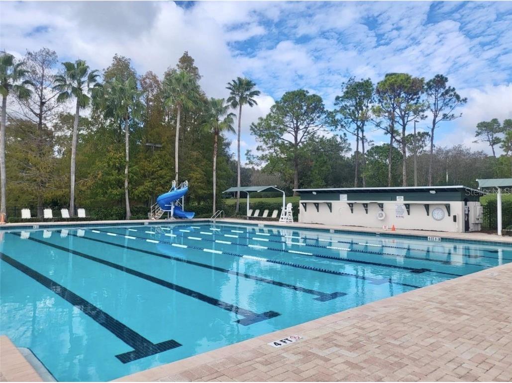 9526 W Park Village Drive Tampa FL 33626 L4957730 image18