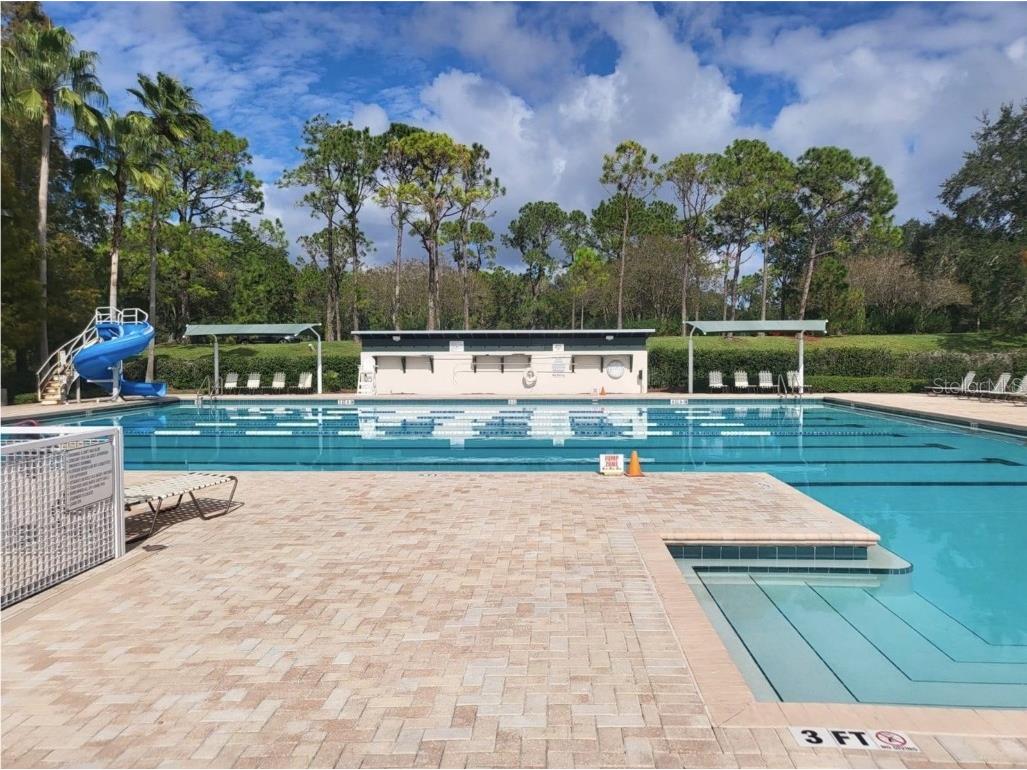 9526 W Park Village Drive Tampa FL 33626 L4957730 image19