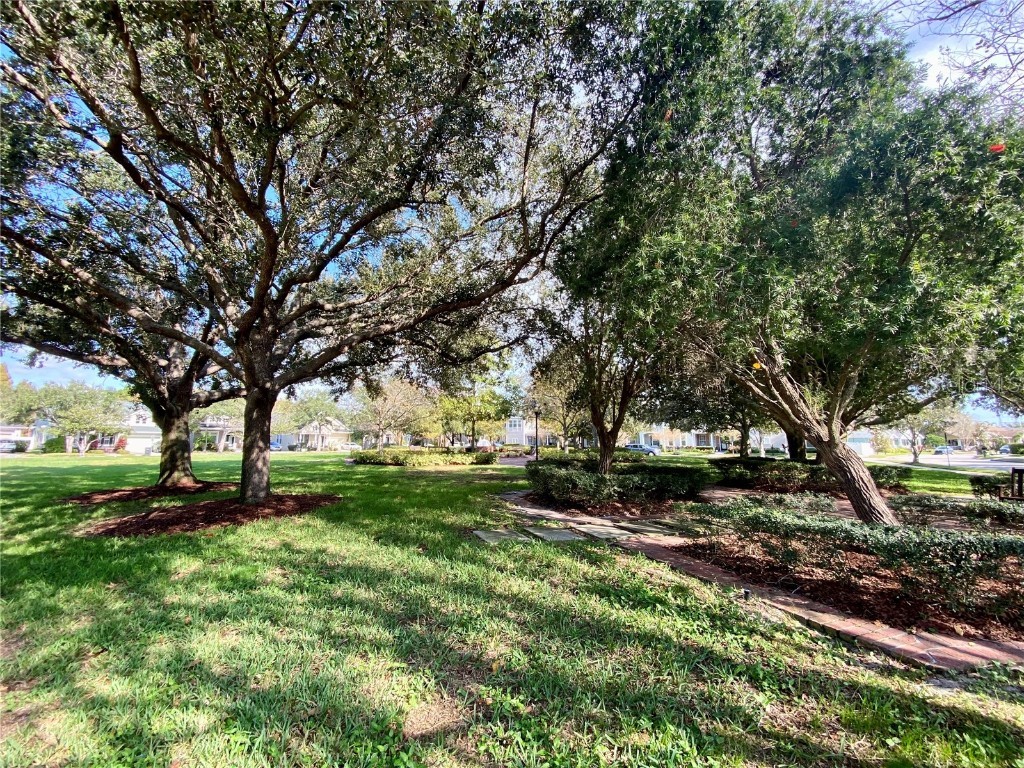 9526 W Park Village Drive Tampa FL 33626 L4957730 image21