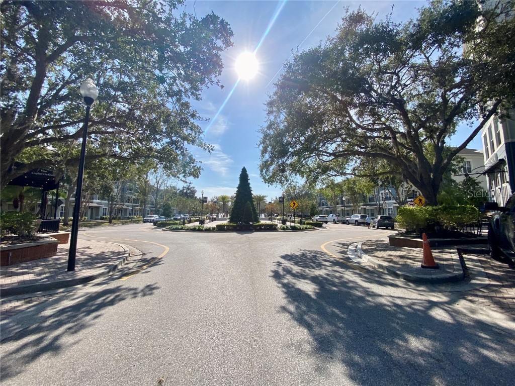 9526 W Park Village Drive Tampa FL 33626 L4957730 image22