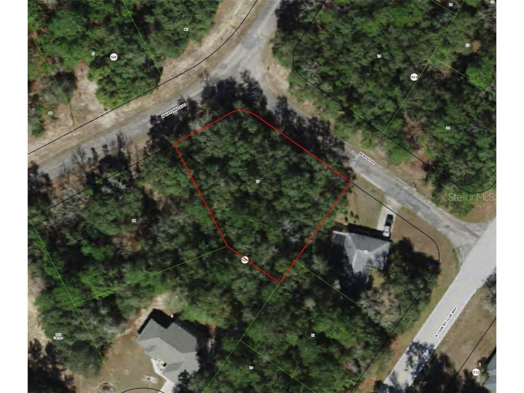 9527 N Wayland Avenue Citrus Springs FL 34434 T3510936 image1