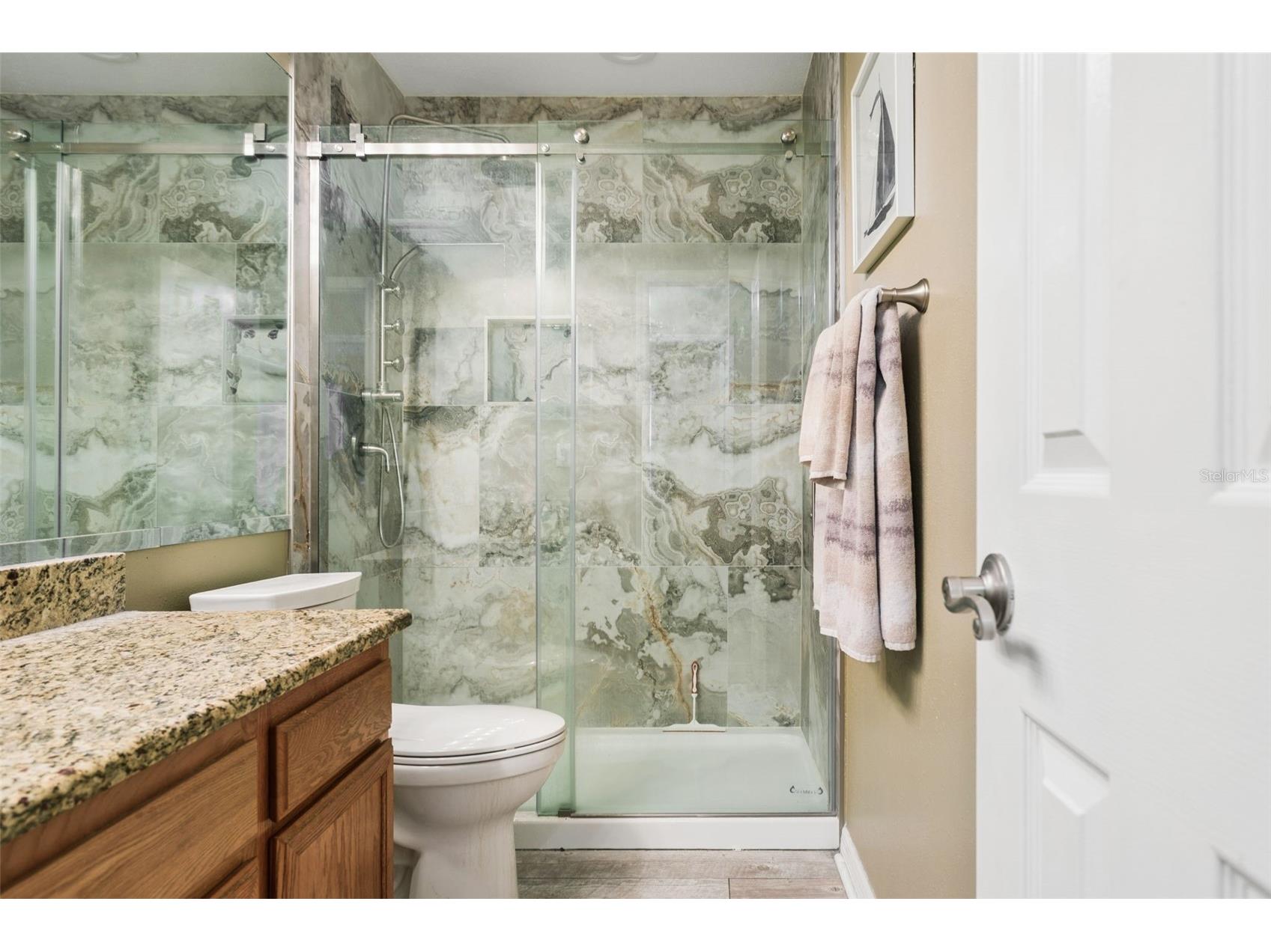 9527 Norchester Circle Tampa FL 33647 TB8517616 image25
