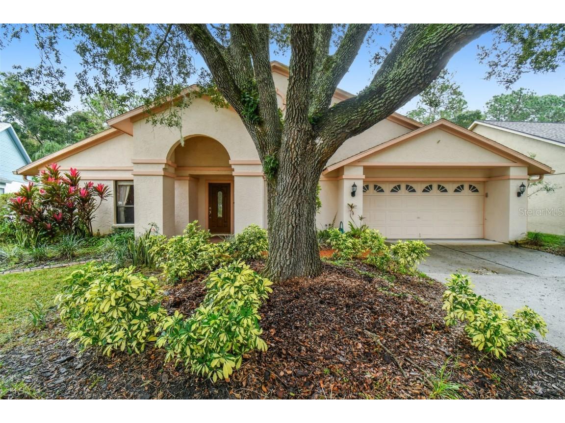 9527 Pebble Glen Avenue Tampa FL 33647 T3487257 image1
