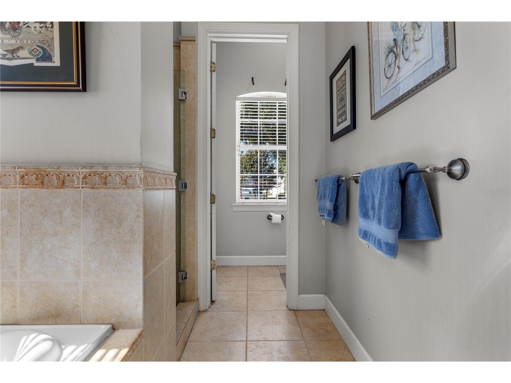 9527 Queensbury Court Windermere FL 34786 O6408997 image31