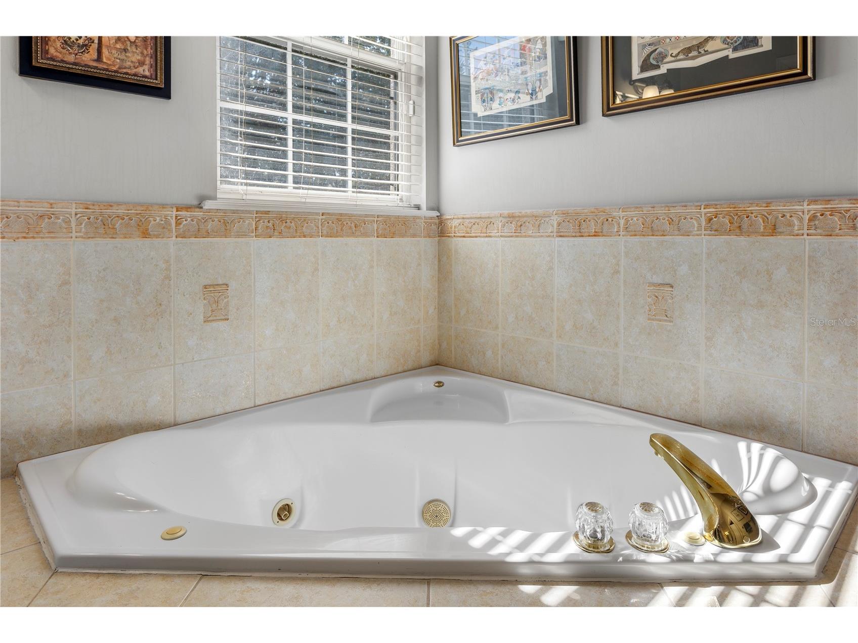 9527 Queensbury Court Windermere FL 34786 O6408997 image33