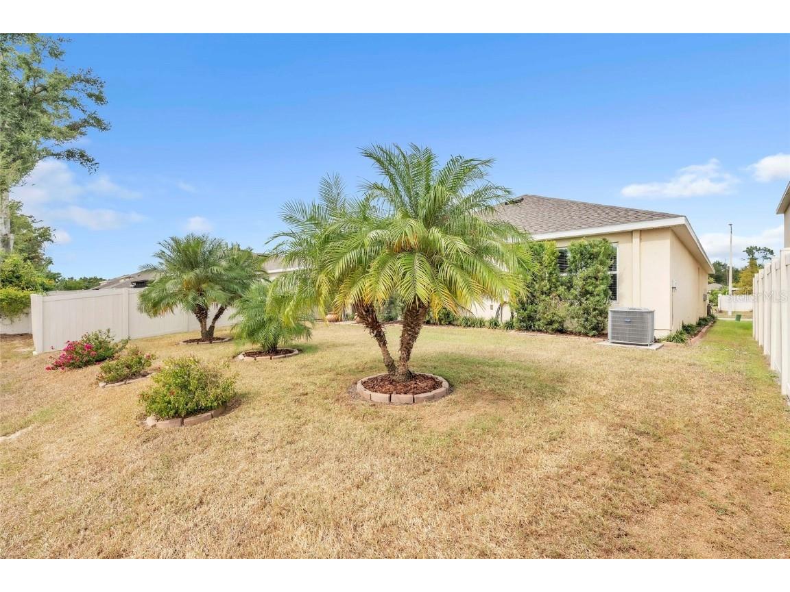 9527 Sunstone Boulevard Thonotosassa FL 33592 A4671251 image27