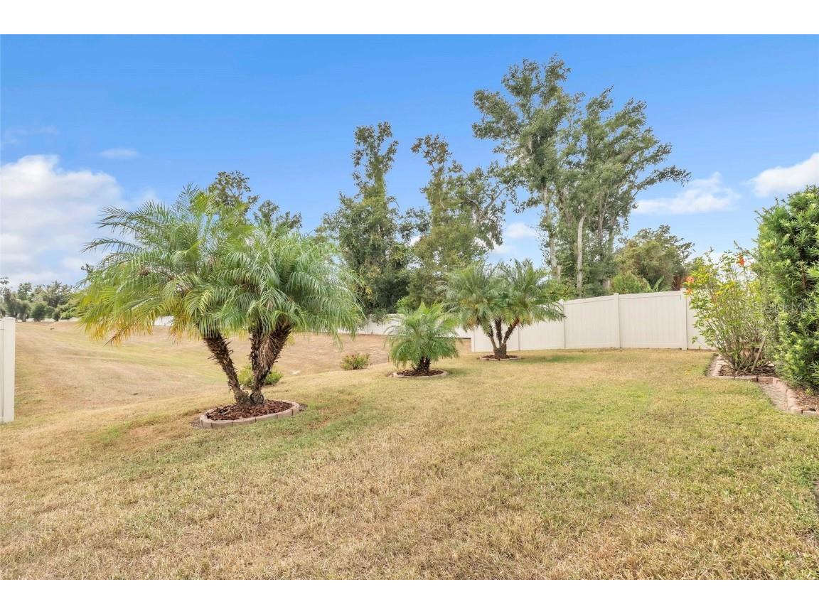 9527 Sunstone Boulevard Thonotosassa FL 33592 A4671251 image28