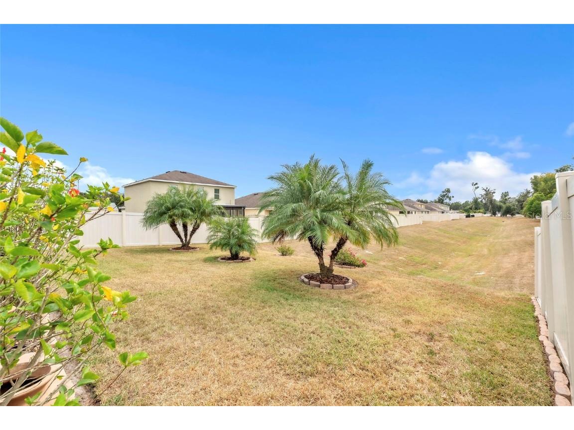 9527 Sunstone Boulevard Thonotosassa FL 33592 A4671251 image31