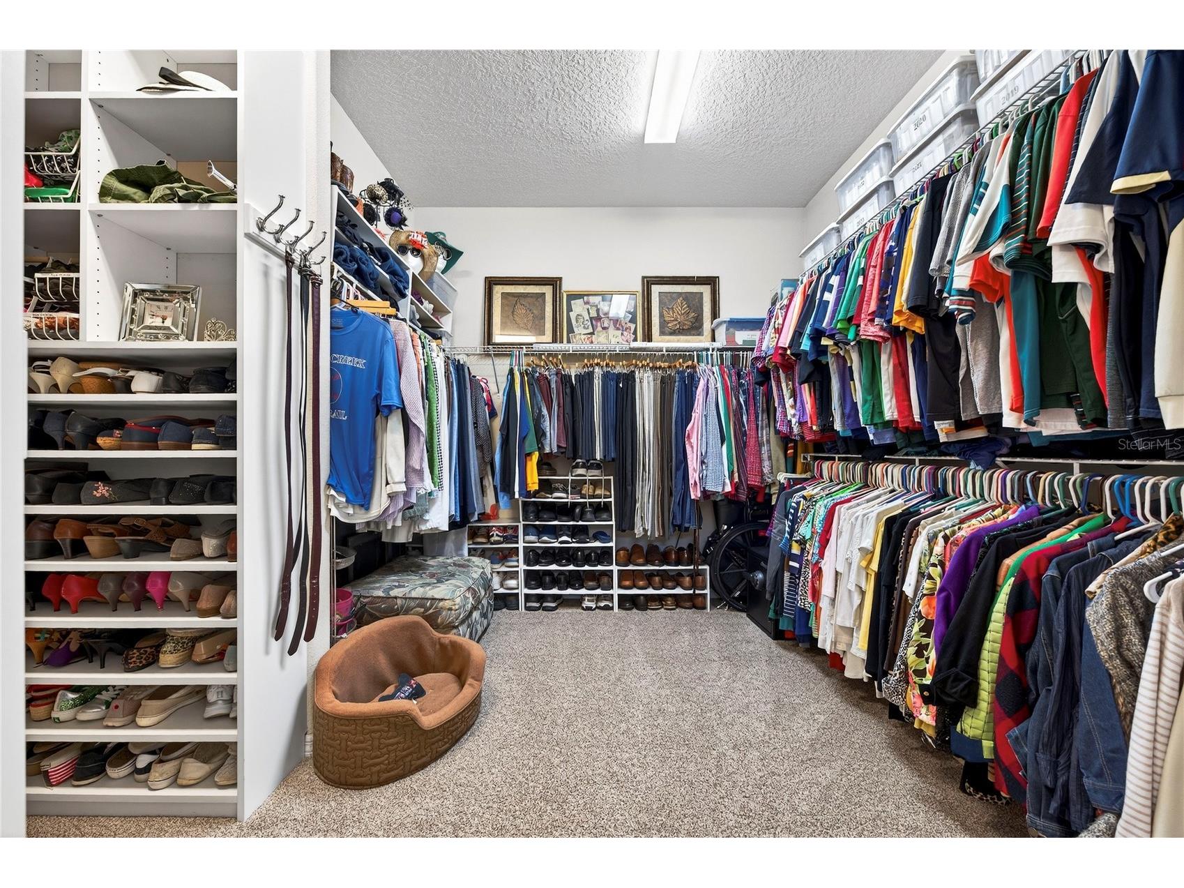 9527 SW 70th Loop Ocala FL 34481 V4947480 image29