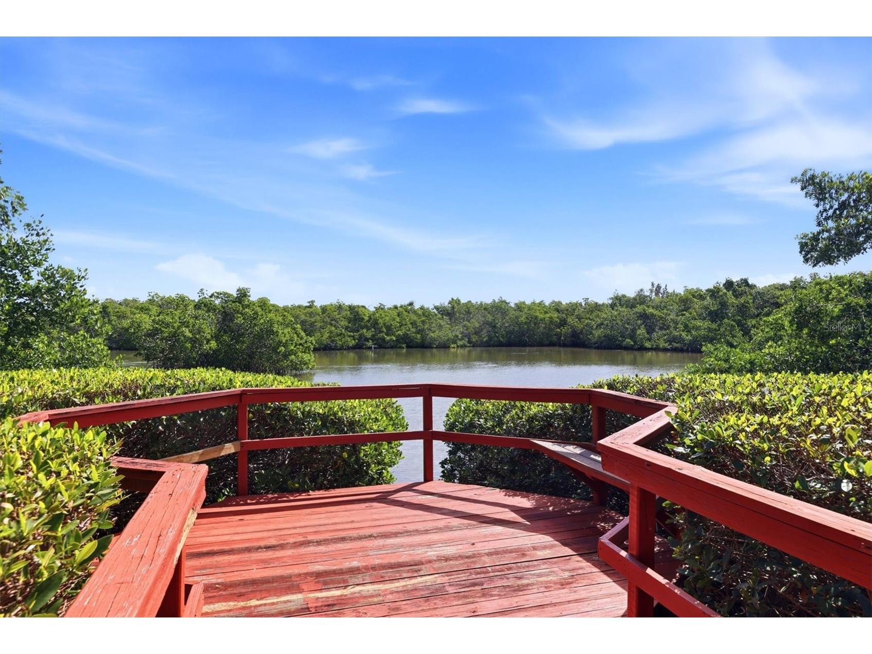 9528 Antiqua Cove #9528 Bradenton FL 34210 A4689469 image57