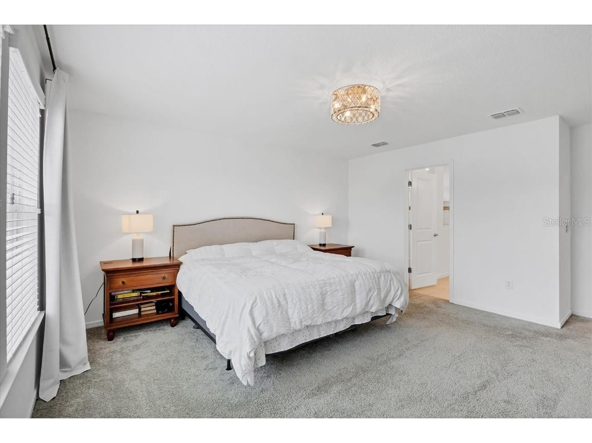 9528 Lamine Way Parrish FL 34219 A4665543 image22