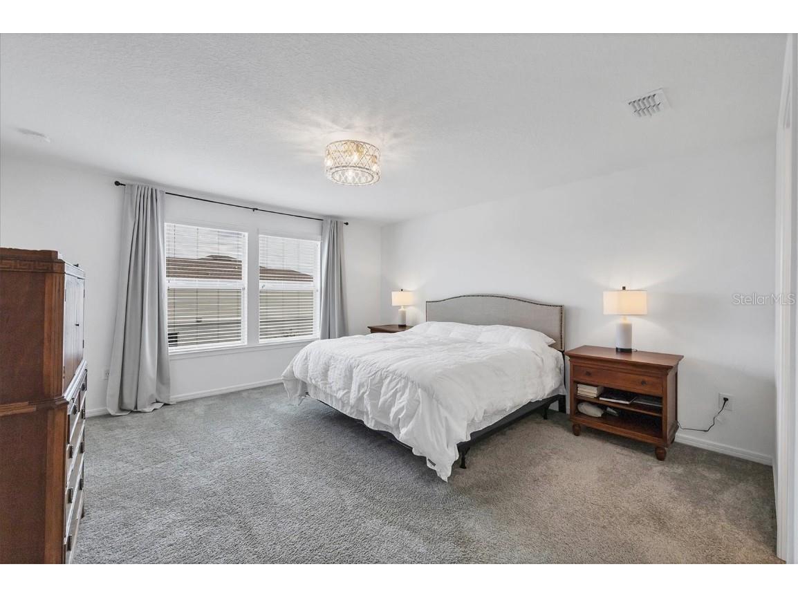 9528 Lamine Way Parrish FL 34219 A4665543 image8