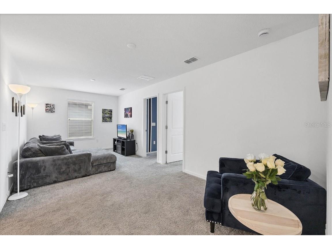 9528 Lamine Way Parrish FL 34219 A4665543 image9