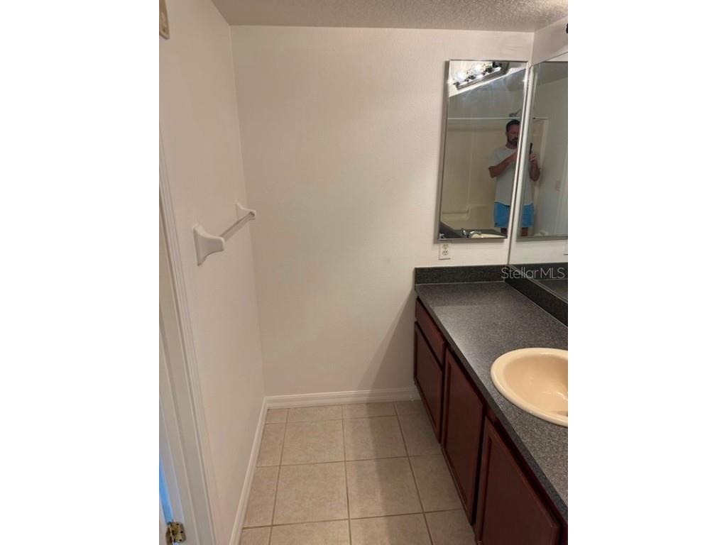 9529 Newdale Way #102 Riverview FL 33578 TB8448291 image33