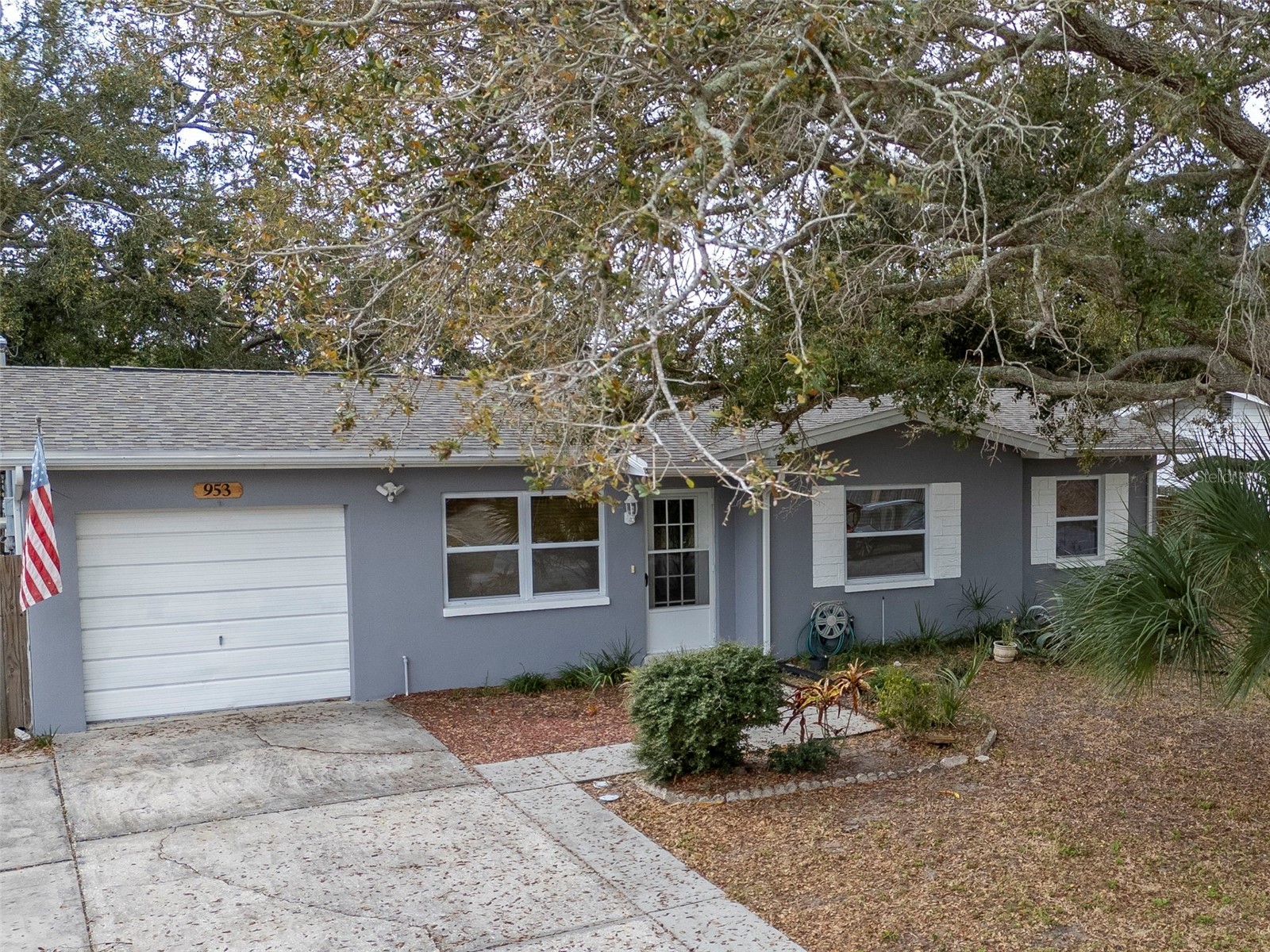 953 Cedarwood Avenue Dunedin FL 34698 TB8478668 image3