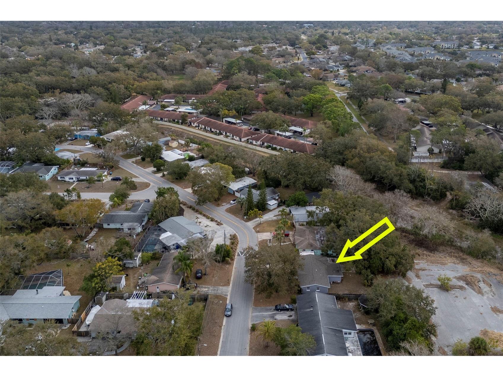 953 Cedarwood Avenue Dunedin FL 34698 TB8478668 image33