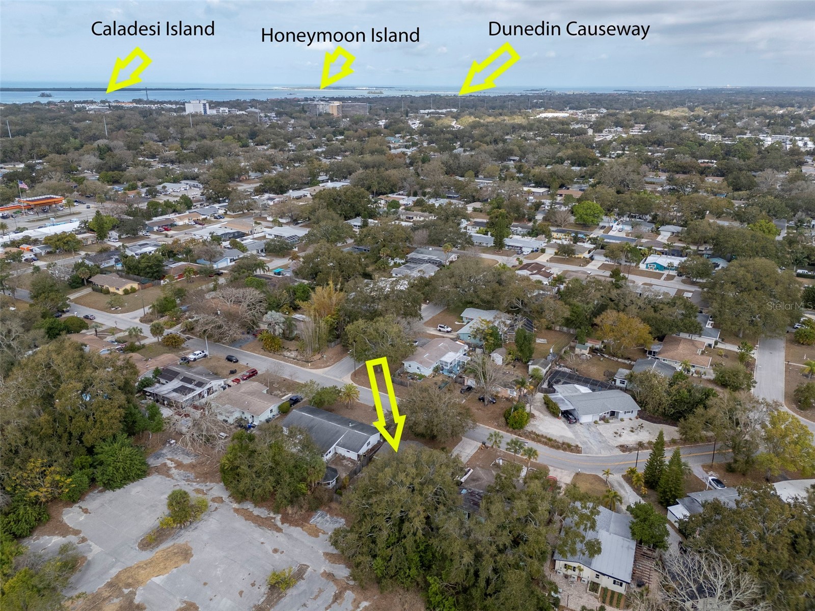 953 Cedarwood Avenue Dunedin FL 34698 TB8478668 image35