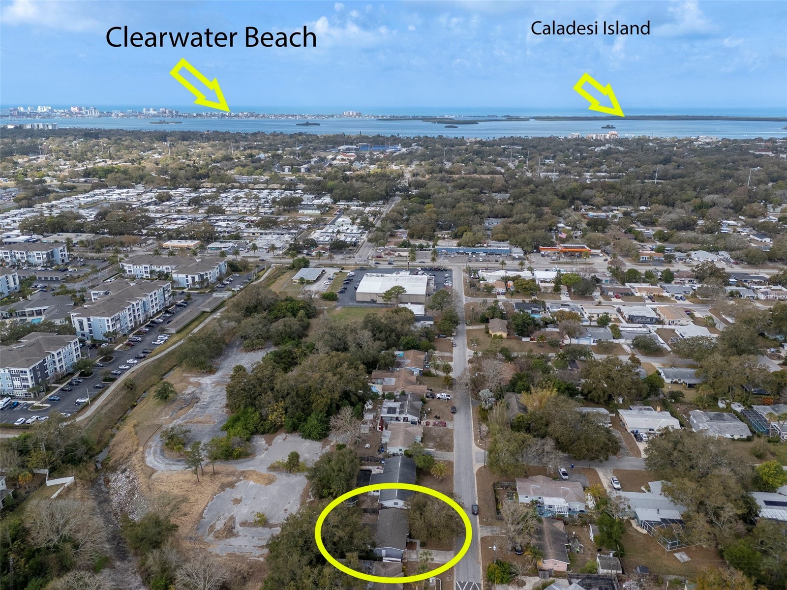 953 Cedarwood Avenue Dunedin FL 34698 TB8478668 image38