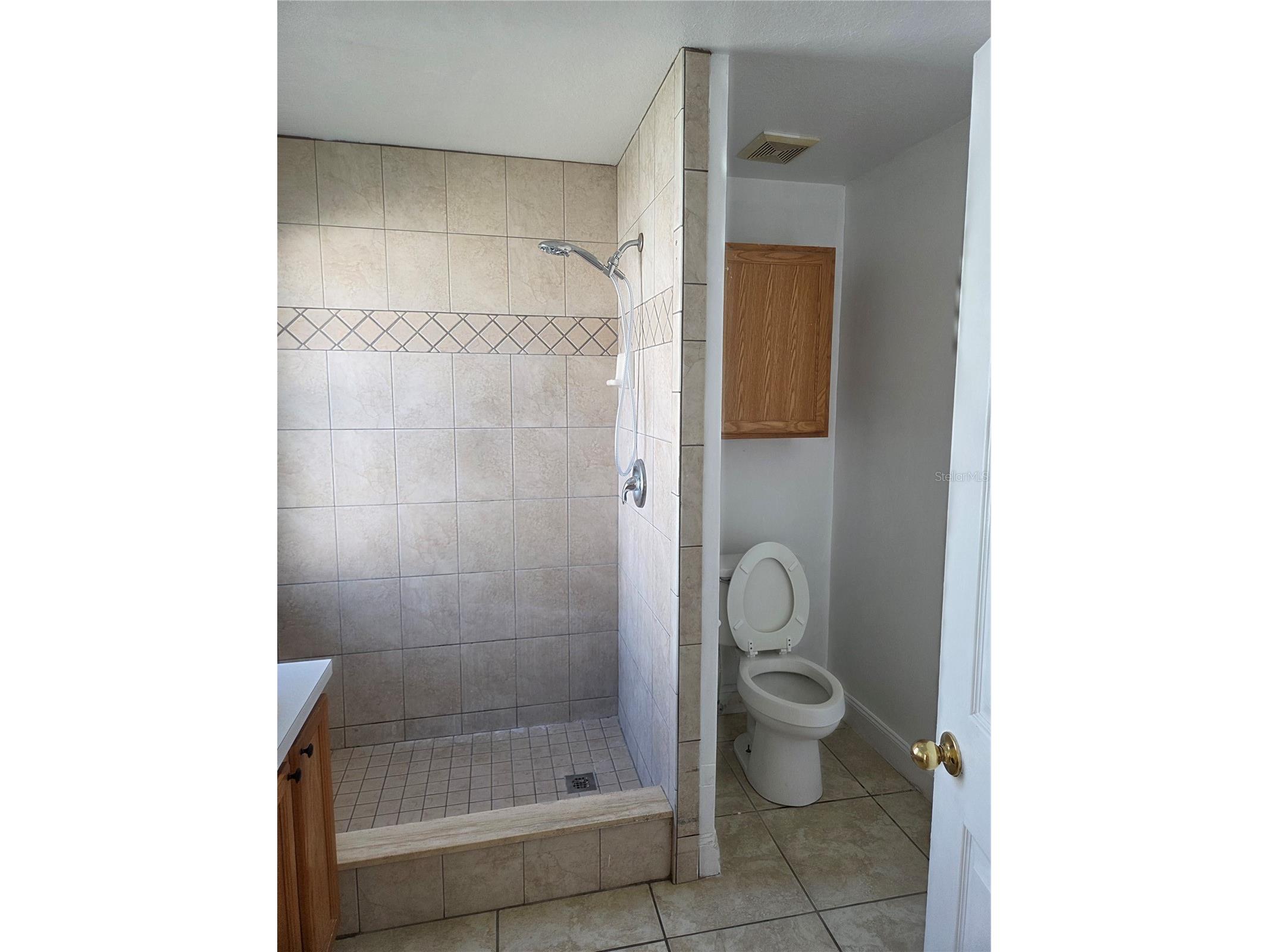 953 Louvre Court Kissimmee FL 34759 S5153449 image18