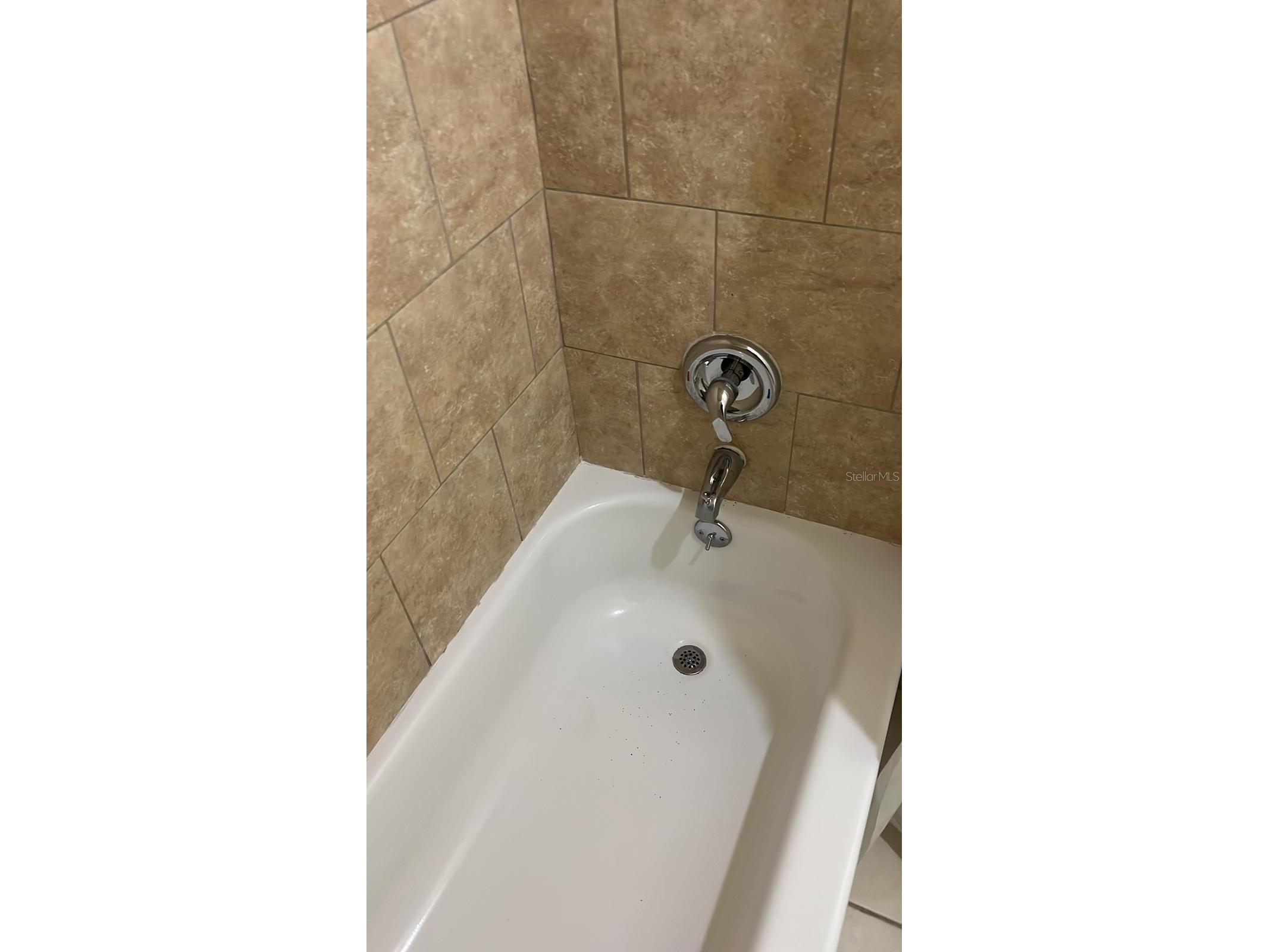 953 Monroe Court Apopka FL 32703 S5139589 image7