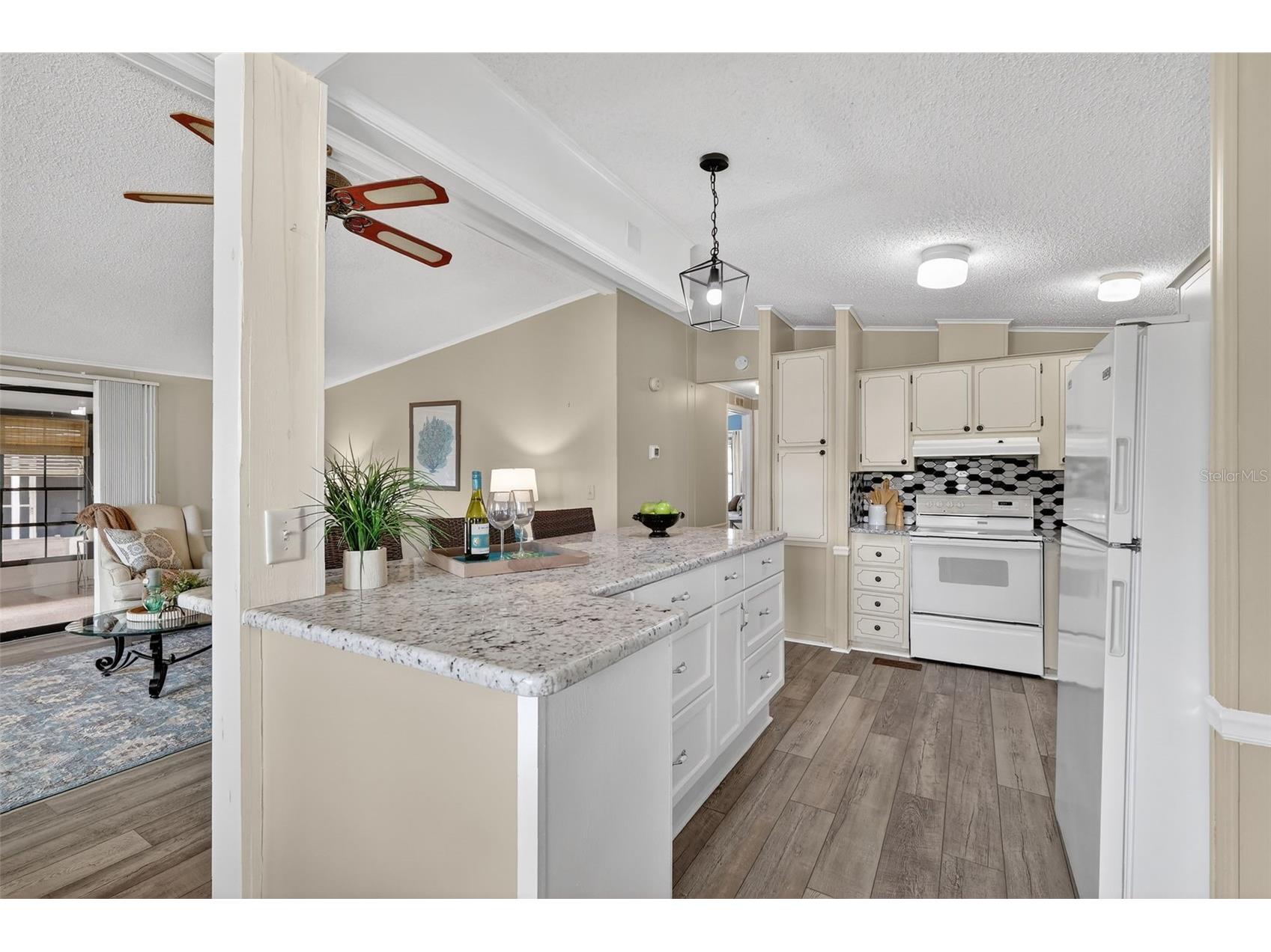 953 Orchid Street The Villages FL 32159 G5108886 image11