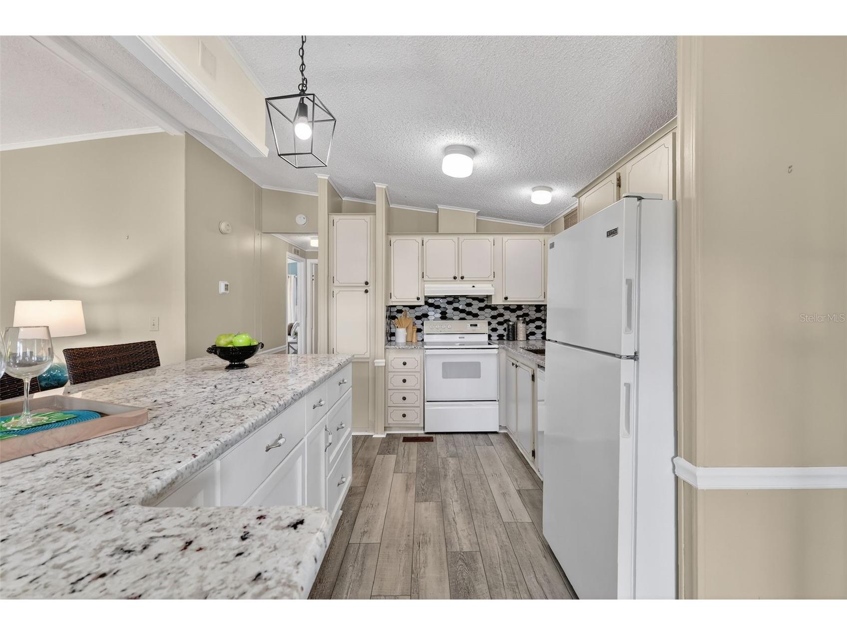 953 Orchid Street The Villages FL 32159 G5108886 image12