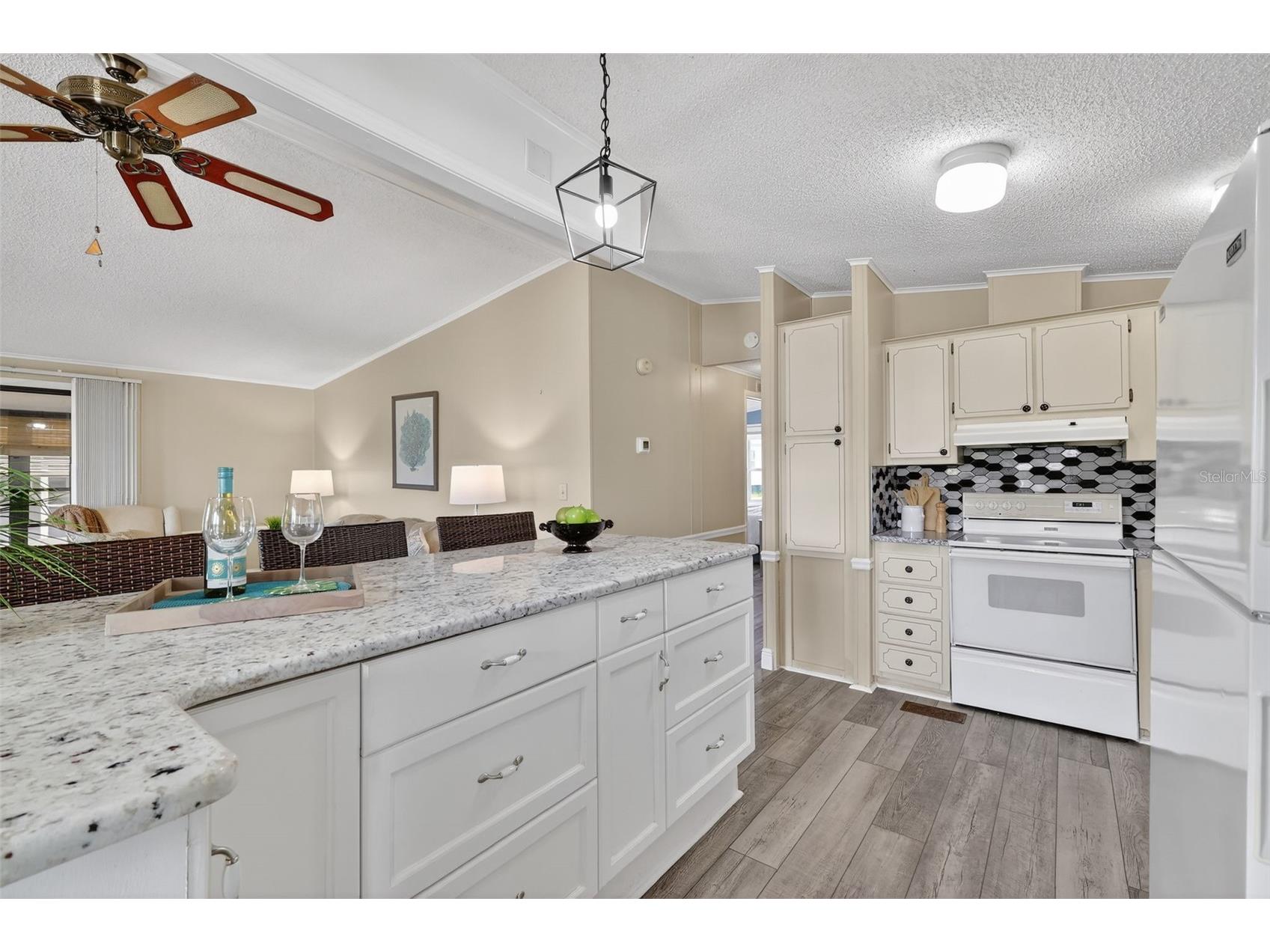 953 Orchid Street The Villages FL 32159 G5108886 image13