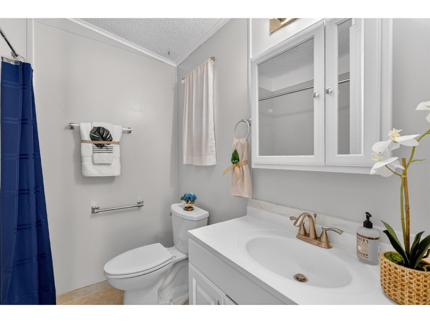953 Orchid Street The Villages FL 32159 G5108886 image20