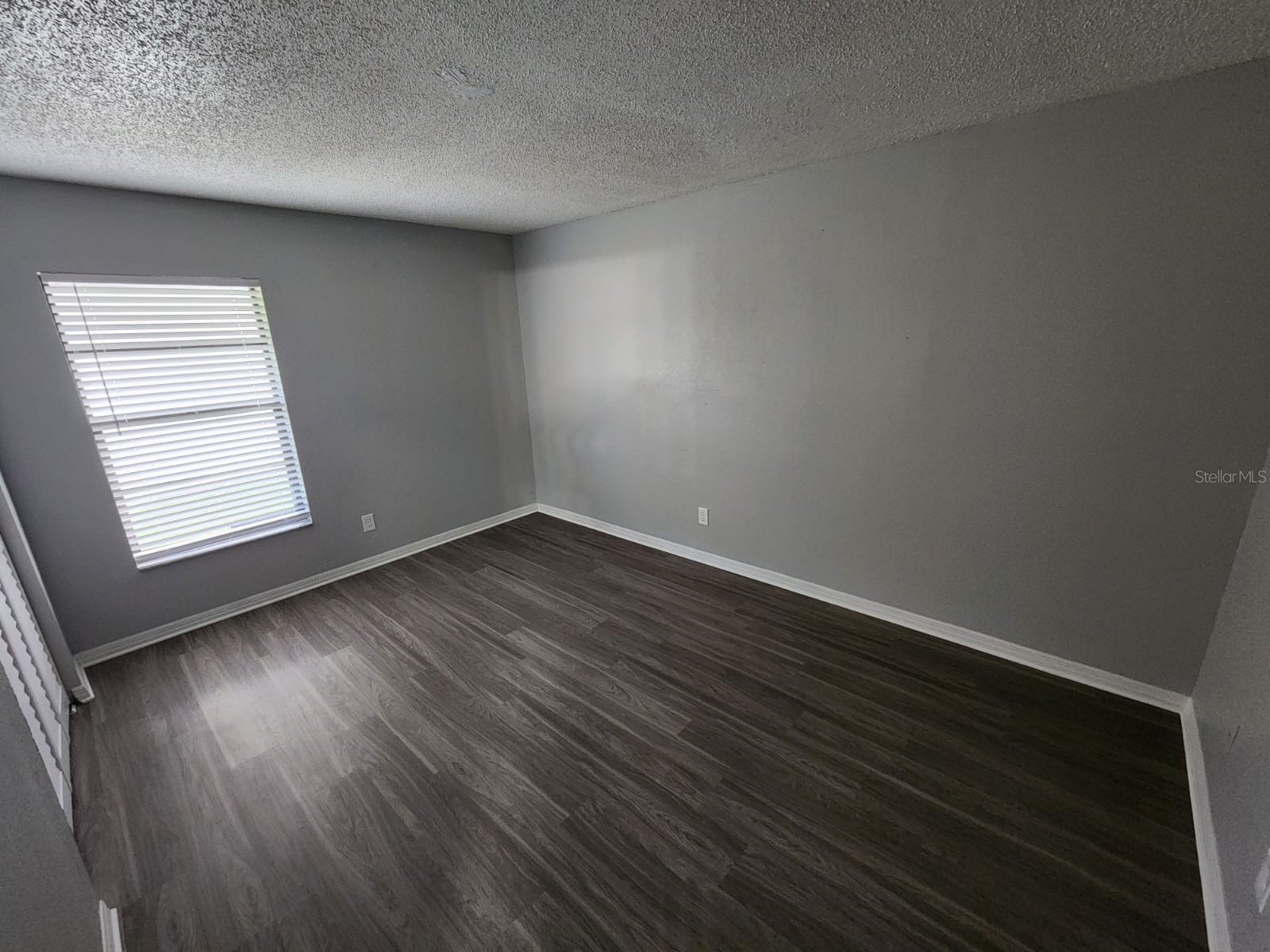 9530 Lynn Lane #B Seminole FL 33777 TB8508638 image5